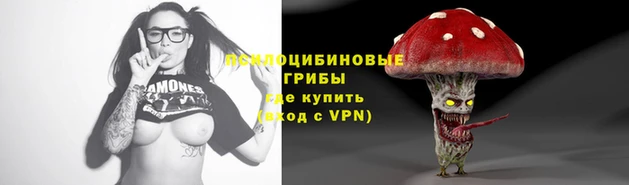 прущие крисы Богородицк
