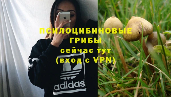 марки lsd Богородск